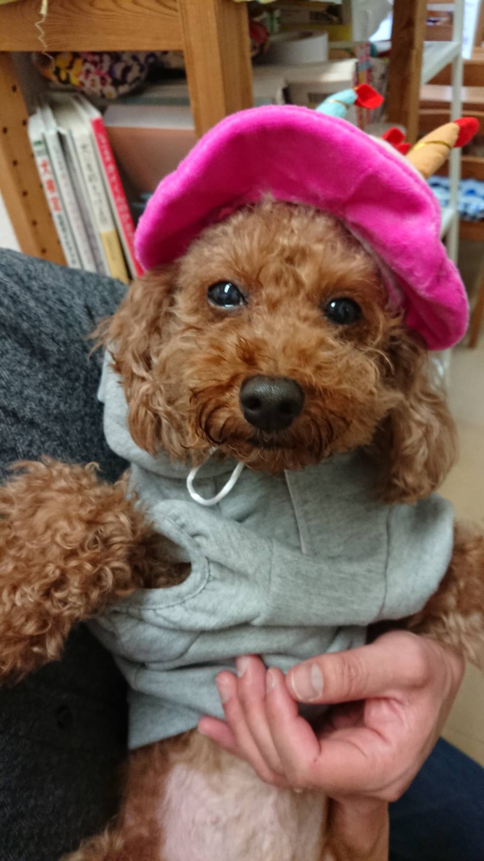 ちゃこちゃん💕のお誕生日🎂にたくさんのご来店やプレゼント📦をありがとうございました😄